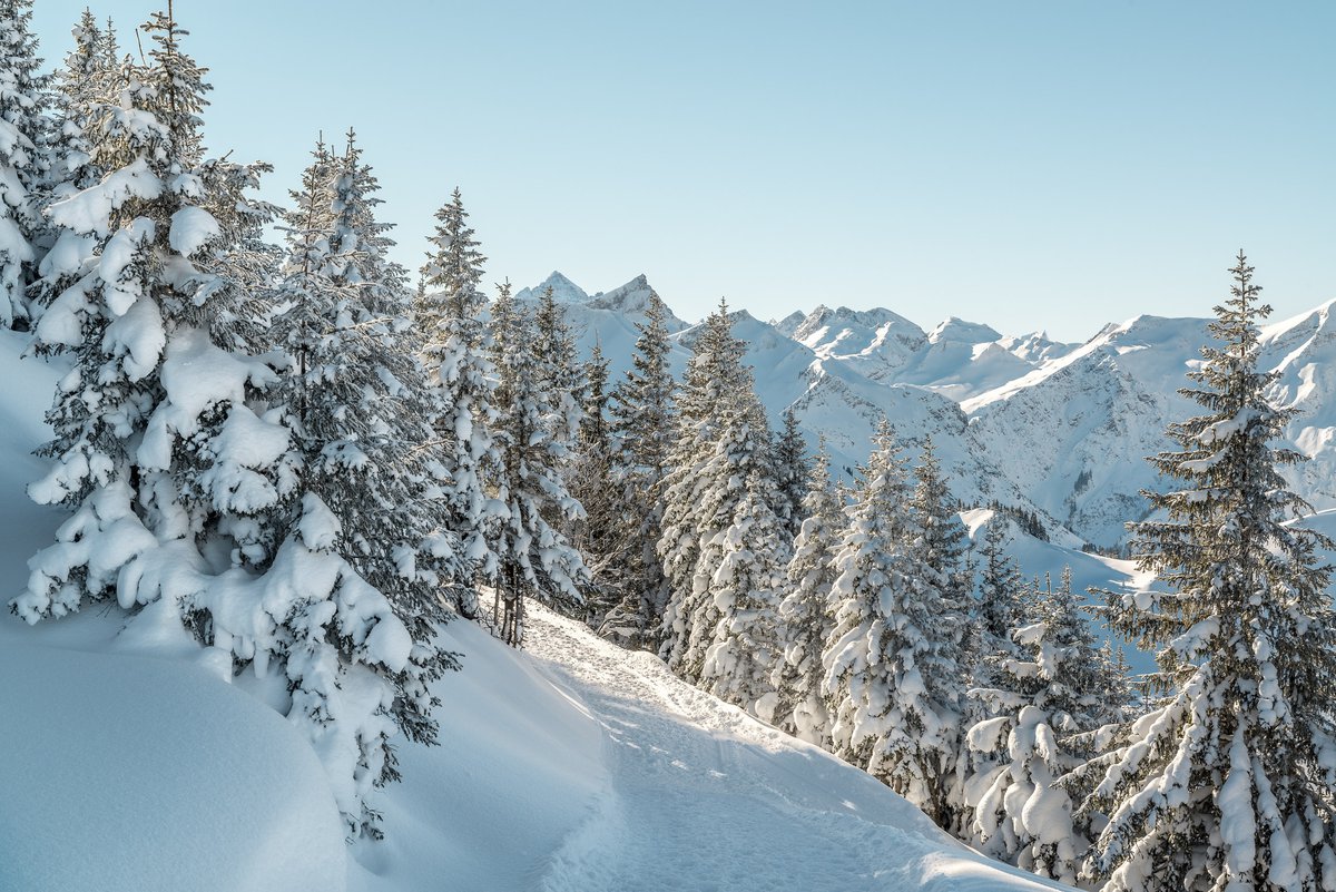 Tannheim_TVB Tannheimer Tal_Meurer Achim_Tannheim-10.jpg